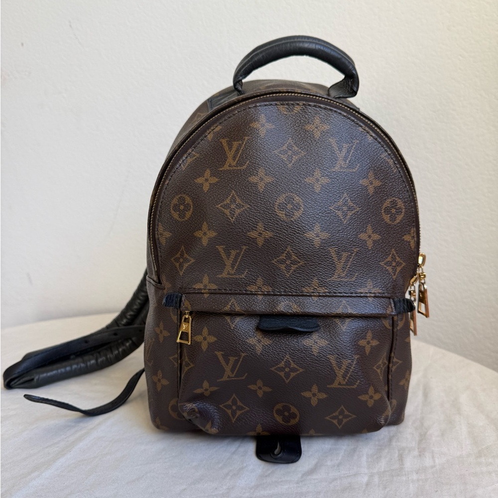 Louis Vuitton  Monogram Palm Springs Backpack PM
